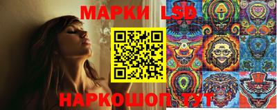 сатива Кингисепп