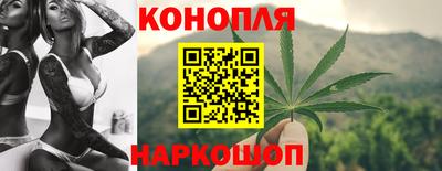 сатива Кингисепп
