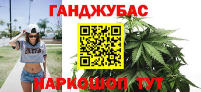 сатива Кингисепп