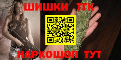 сатива Кингисепп