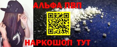 сатива Кингисепп
