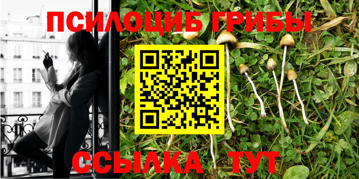Азов  Галлюциногенные грибы Magic Shrooms  Вход с VPN 